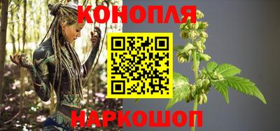 шишки Лесосибирск