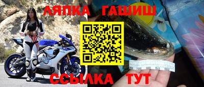 шишки Лесосибирск