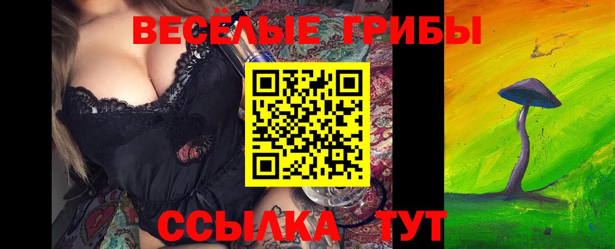 Псилоцибиновые грибы мицелий Ярославль